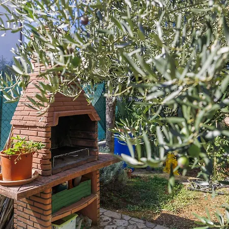 Ivanka By Interhome * פורץ